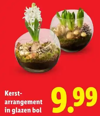 Lidl Kerstarrangement in glazen bol aanbieding