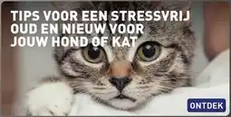 ALDI Tips voor een stressvrij oud en nieuw voor jouw hond of kat aanbieding