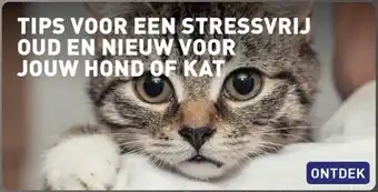 ALDI Tips voor een stressvrij oud en nieuw voor jouw hond of kat aanbieding