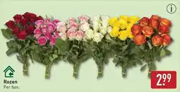 ALDI Rozen aanbieding
