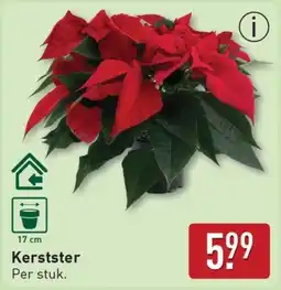 ALDI Kerstster aanbieding