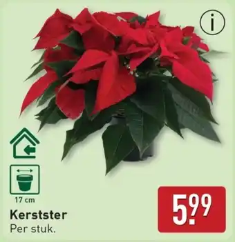 ALDI Kerstster aanbieding