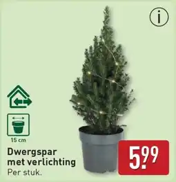 ALDI Dwergspar met verlichting aanbieding