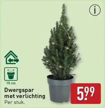 ALDI Dwergspar met verlichting aanbieding