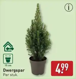 ALDI Dwergspar aanbieding