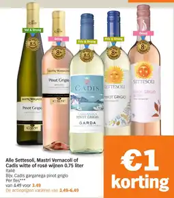 Albert Heijn Alle Settesoli, Mastri Vernacoli of Cadis Witte of Rosé Wijnen aanbieding