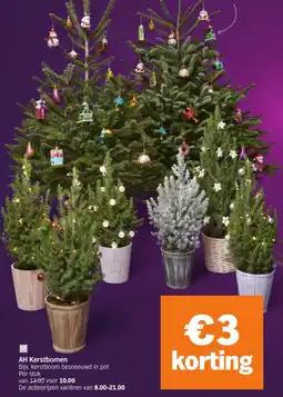 Albert Heijn AH Kerstbomen aanbieding