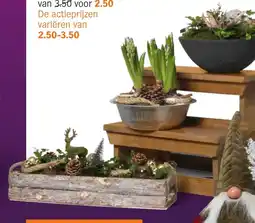 Albert Heijn AH Kerstarrangementen in mand, schaal of kistje aanbieding