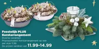 PLUS Feestelijk PLUS Kerstarrangement aanbieding