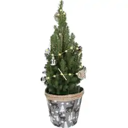 Dirk Kerstboompje 55 cm aanbieding