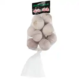 Dirk Knoflook uien solo aanbieding