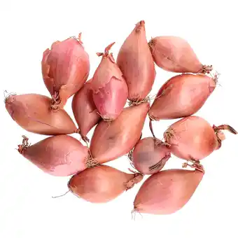 Dirk Bio+ sjalotten aanbieding