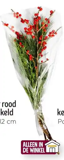 Jumbo llex met groen aanbieding