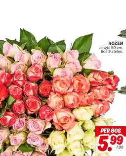Dekamarkt Rozen aanbieding