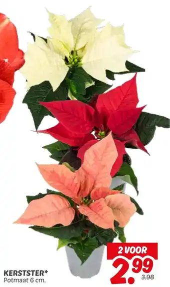 Dekamarkt Kerstster aanbieding