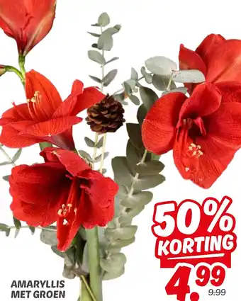 Dekamarkt Amaryllis met groen aanbieding