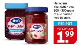Hoogvliet Hero Aardbeien aanbieding