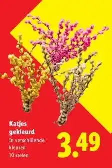 Lidl Katjes gekleurd In verschillende aanbieding