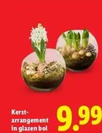Lidl Kerst- arrangement in glazen bol aanbieding