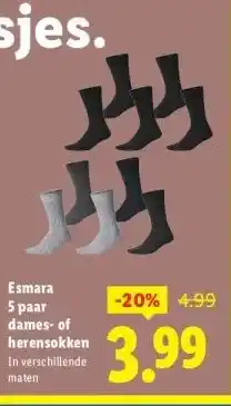Lidl Esmara 5 paar dames-of herensokken aanbieding