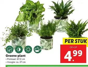 Lidl Groene Plant aanbieding