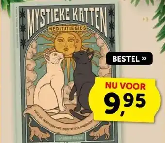 Boekenvoordeel MYSTIEKE KATTEN aanbieding