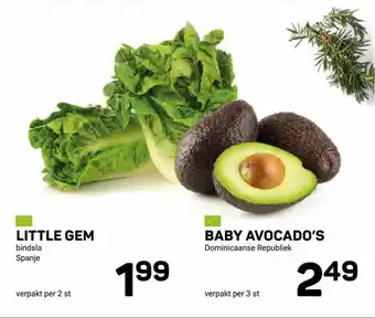 Ekoplaza Little Gem Bindsla Of Baby Avocado's Dominicaanse Republiek aanbieding