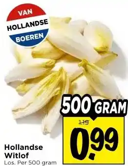 Vomar Voordeelmarkt Hollandse Witlof aanbieding