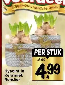 Vomar Voordeelmarkt Hyacint in Keramiek Rendier aanbieding