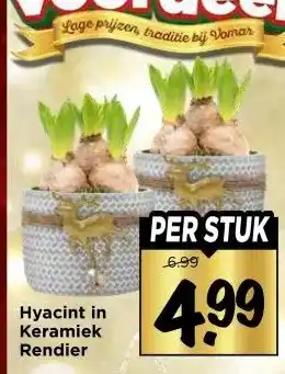 Vomar Voordeelmarkt Hyacint in Keramiek Rendier aanbieding
