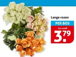 Hoogvliet Lange rozen aanbieding
