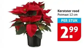Hoogvliet Kerstster rood aanbieding