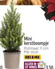 Jumbo Mini kerstboompje aanbieding