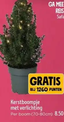 Jumbo Kerstboompje met verlichting aanbieding