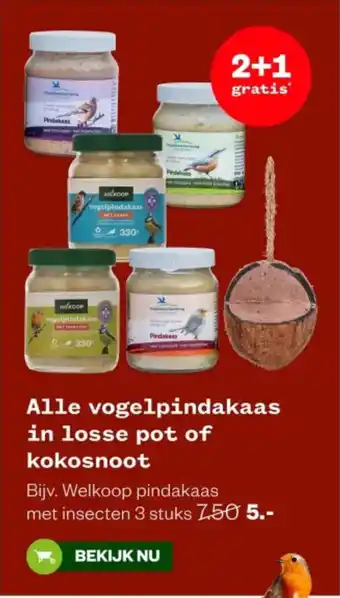 Welkoop Alle vogelpindakaas in losse pot of kokosnoot aanbieding