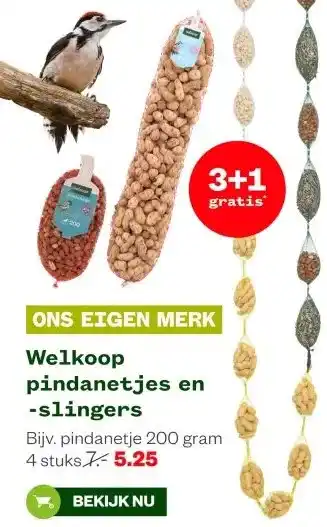 Welkoop Welkoop pindanetjes en slingers aanbieding