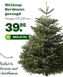 Welkoop Welkoop Nordmann gezaagd aanbieding