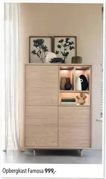 Pronto wonen Opbergkast Famosa aanbieding
