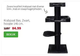 Intratuin Krabpaal Bas. Zwart, hoogte 146 cm. aanbieding