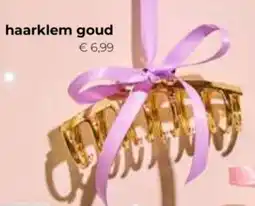 Trekpleister Haarklem goud aanbieding
