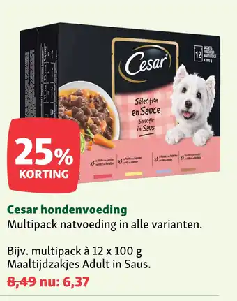 Cesar hondenvoeding