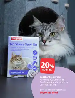 Maxi Zoo Beaphar kalmerend aanbieding