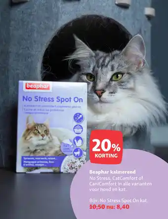 Maxi Zoo Beaphar kalmerend aanbieding