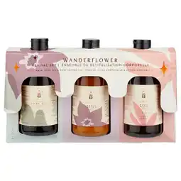Kruidvat Wanderflower Revival Geschenkset aanbieding