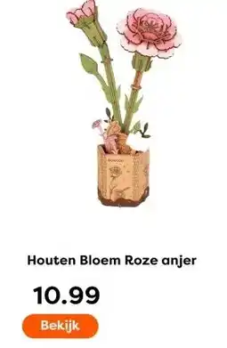 The Read Shop Houten Bloem Roze anjer aanbieding