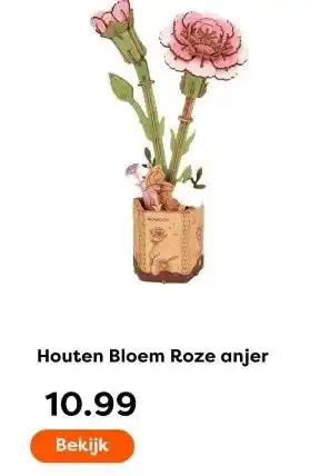 The Read Shop Houten Bloem Roze anjer aanbieding