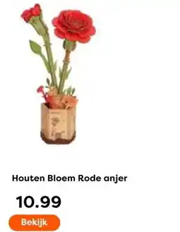The Read Shop Houten Bloem Rode anjer aanbieding