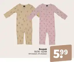 Wibra Boxpak aanbieding