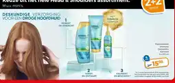 Trekpleister DESKUNDIGE VERZORGING VOOR EEN DROGE HOOFDHUID aanbieding