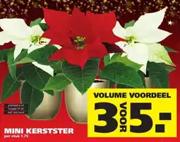 Ranzijn MINI KERSTSTER aanbieding